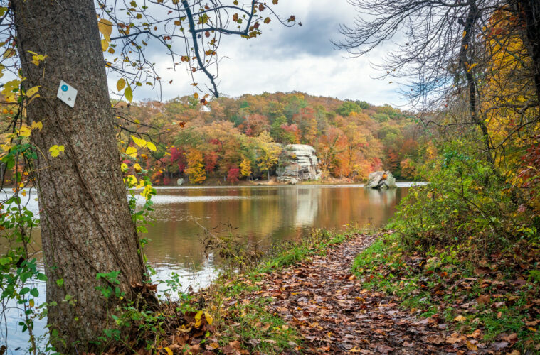 Wayne National Forest seeks campground hosts